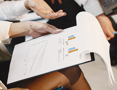 JSM team member reviewing client feedback and reports